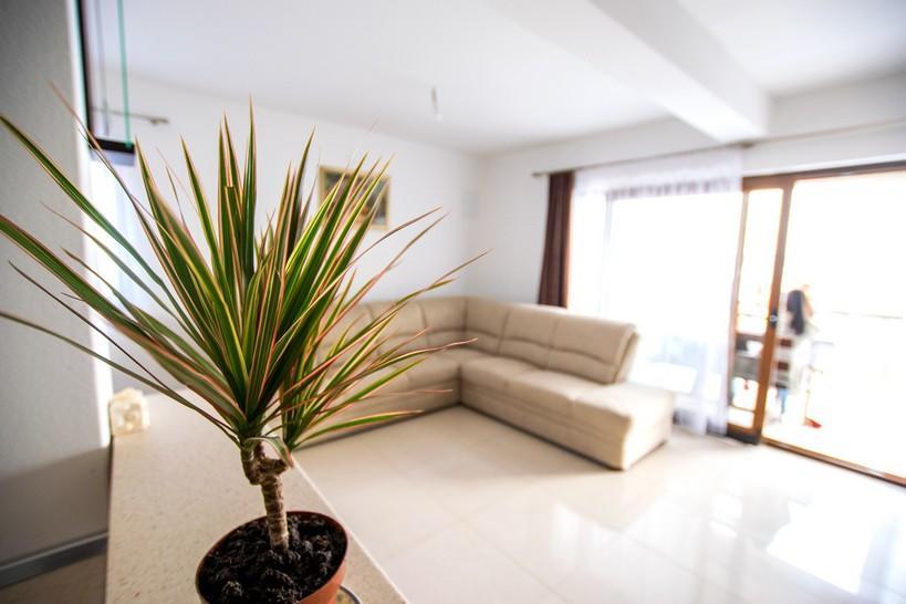 Apartment Andjela Starigrad Paklenica Exterior foto